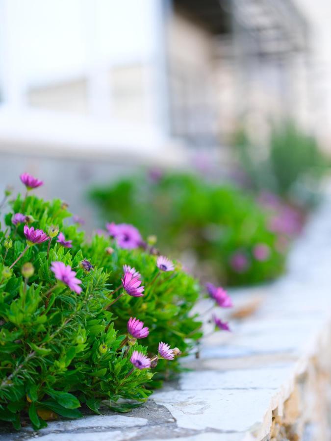 Sunset House Apartment Vlore Ngoại thất bức ảnh